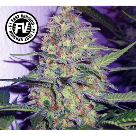 Green Poison Fast Version